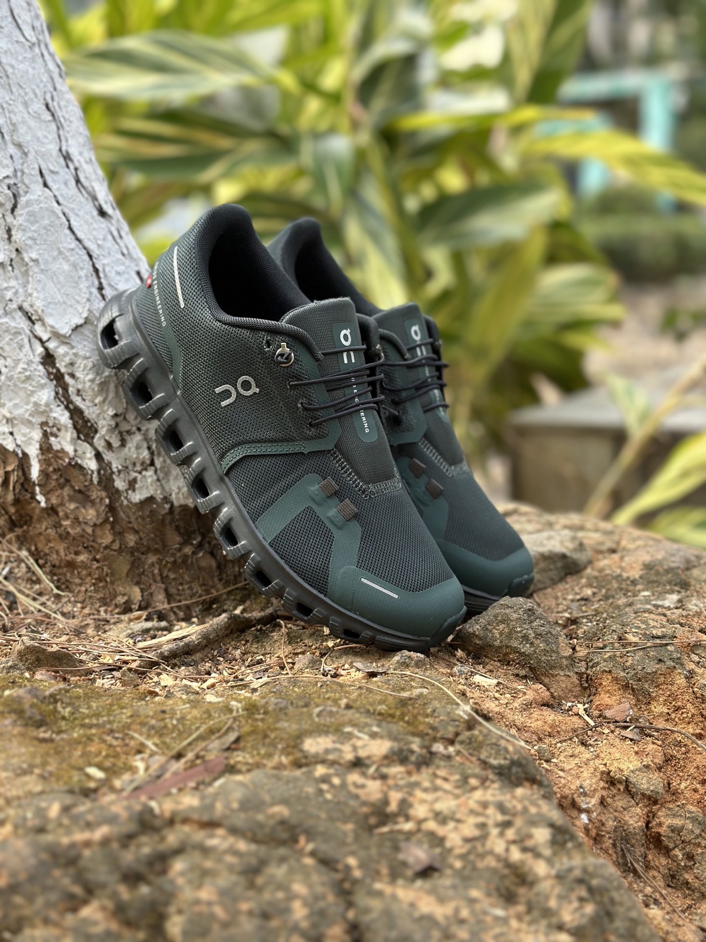 _dia9sIxBFKWlxTW8MUHvaK5D0Bv5korbhqQvUuQ