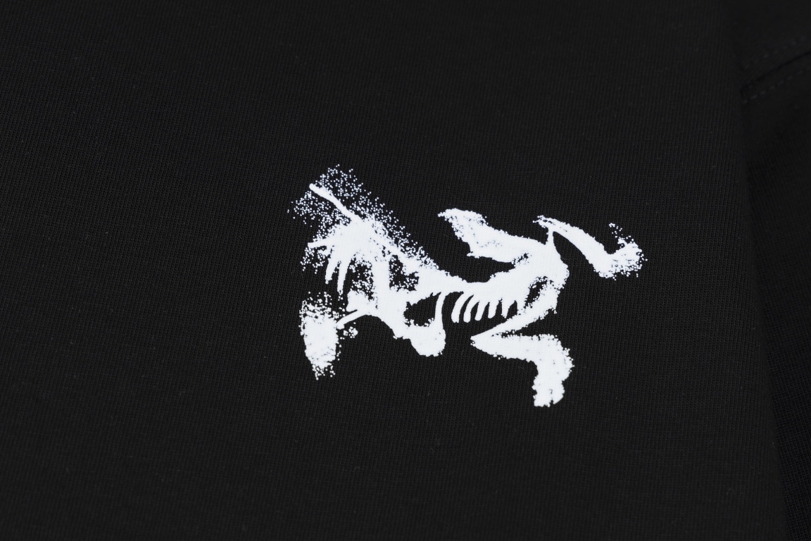 Arc'teryx Kragg Cotton Logo: Camiseta de Manga Larga con Diseño Vanguardista 5 i1756691583 4555 0