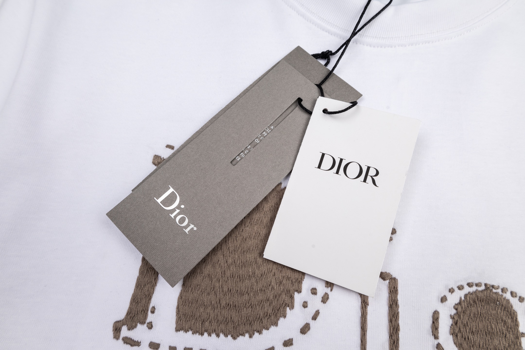 Dior DIOR 26SS棉质平纹短袖