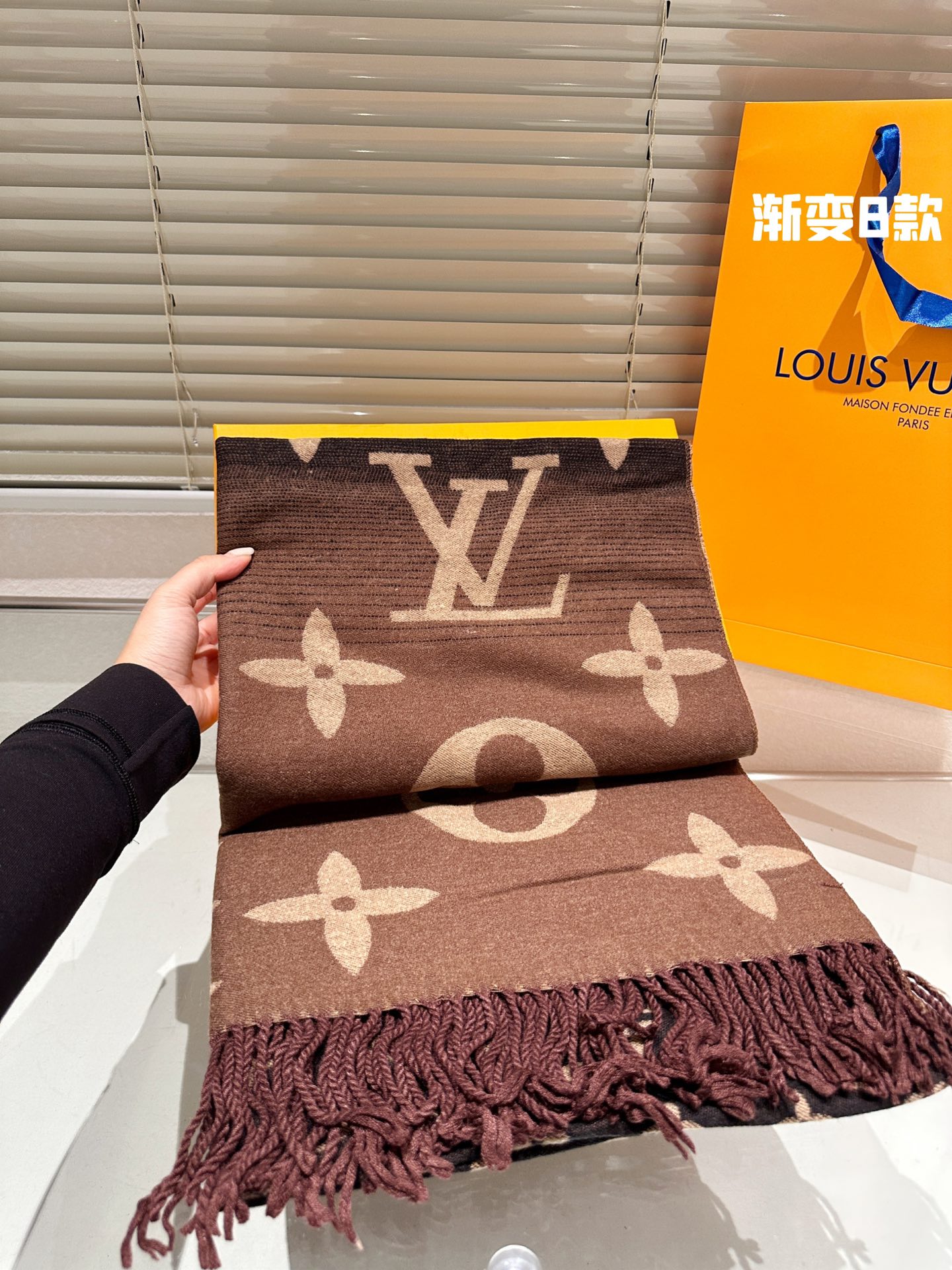 Louis Vuitton Scarf Cashmere Silk Wool Fall Collection