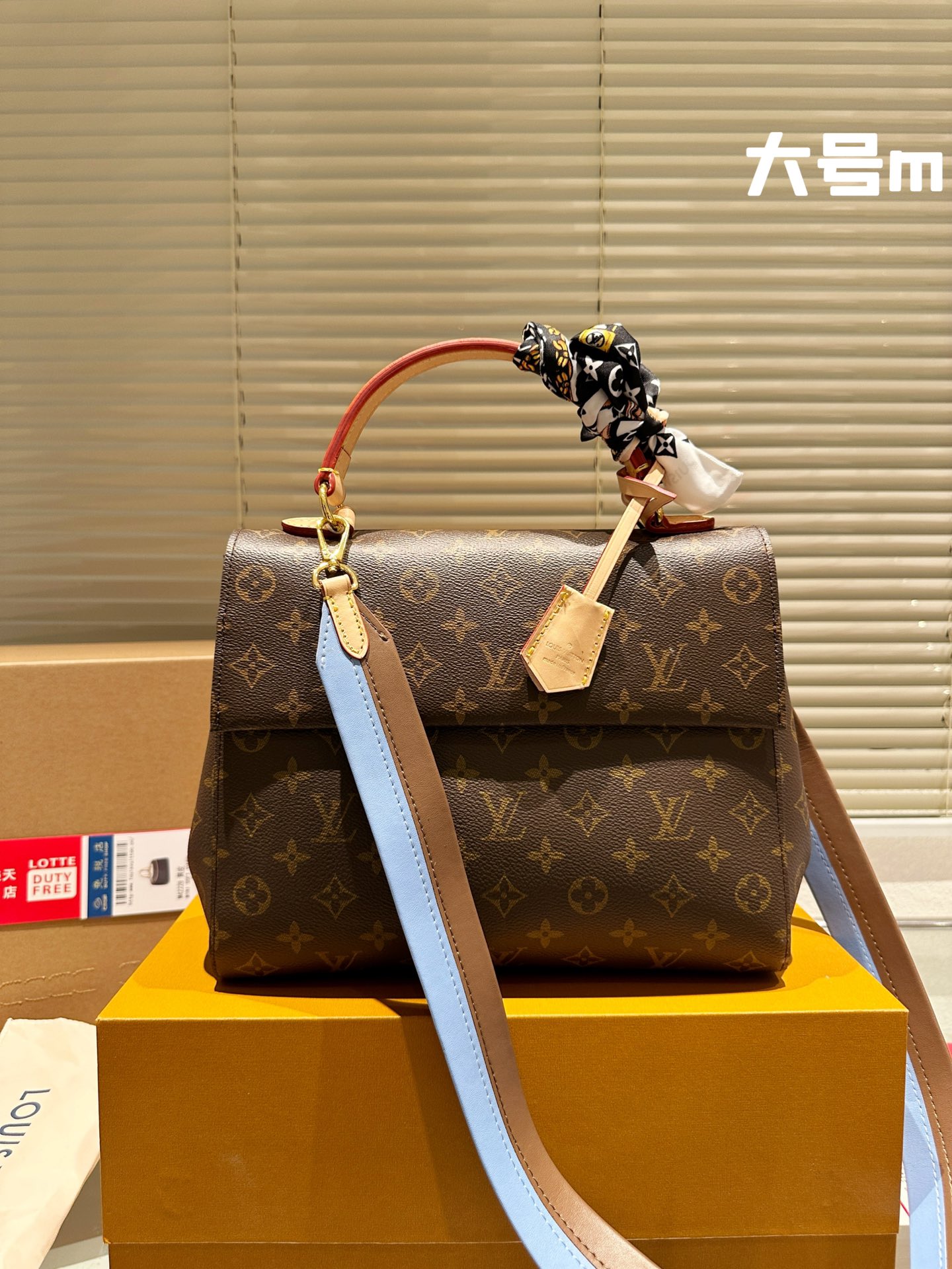 Louis Vuitton LV Cluny Bucket Bags