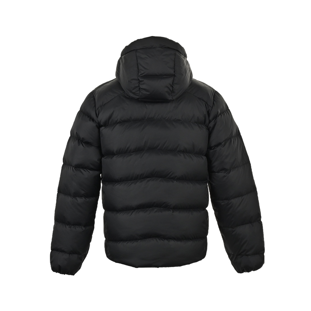 Patagonia /巴塔哥尼亚 23Fw Fitz Roy80蓬羽绒服