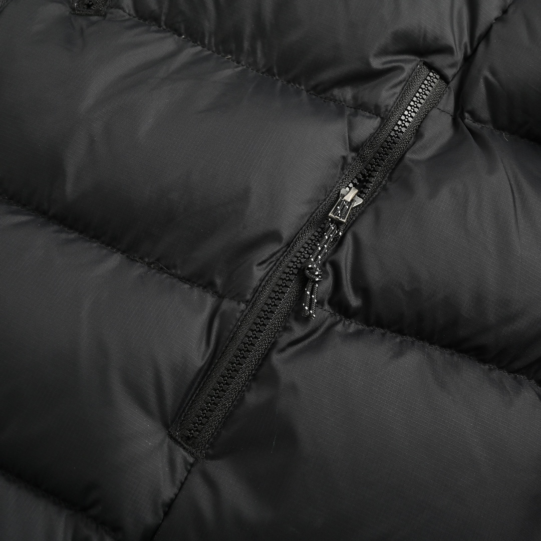 Patagonia /巴塔哥尼亚 23Fw Fitz Roy80蓬羽绒服