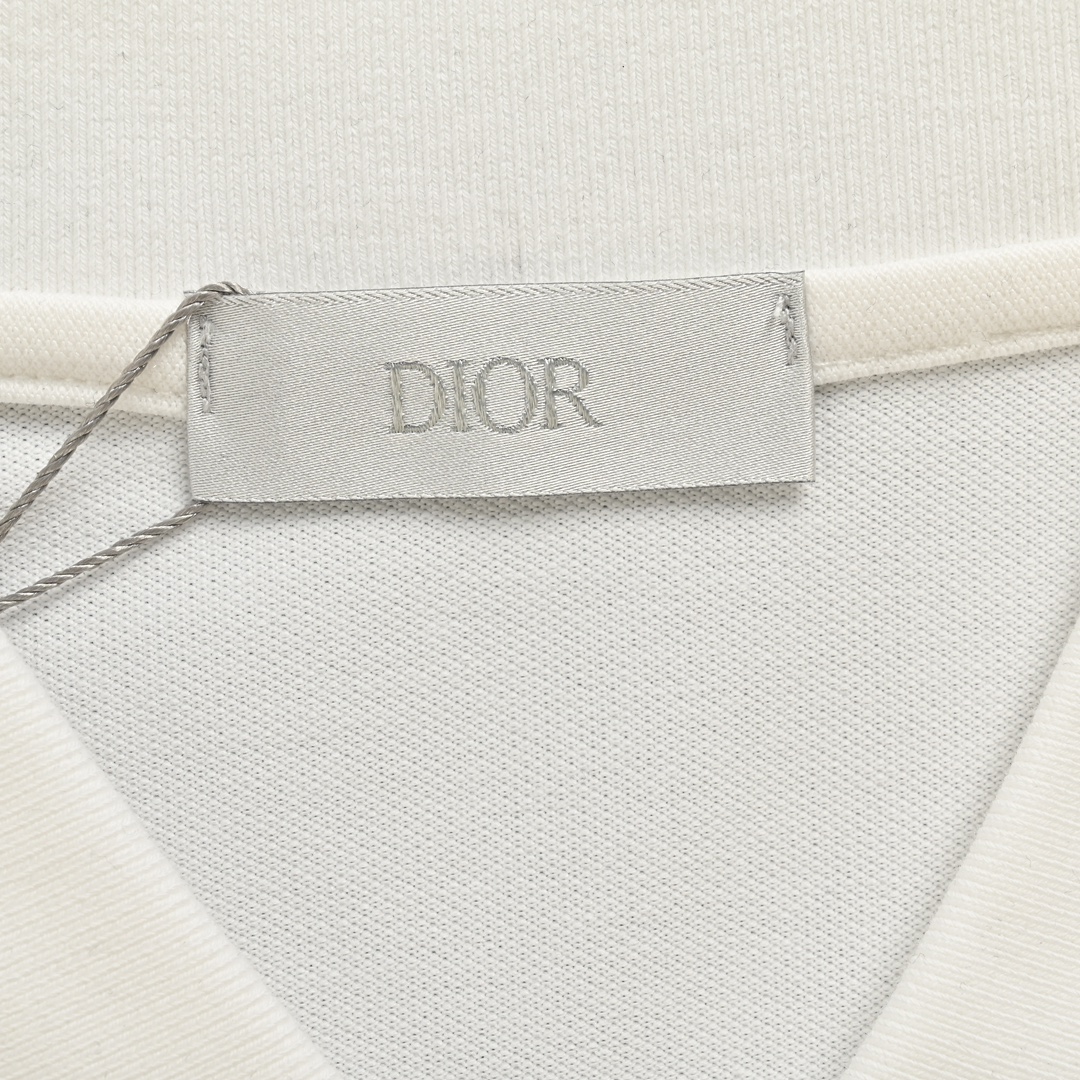 Dior/迪奥 银标刺绣Polo短袖 刺绣小标 高端货 夏季男士翻领短袖T恤POLO衫