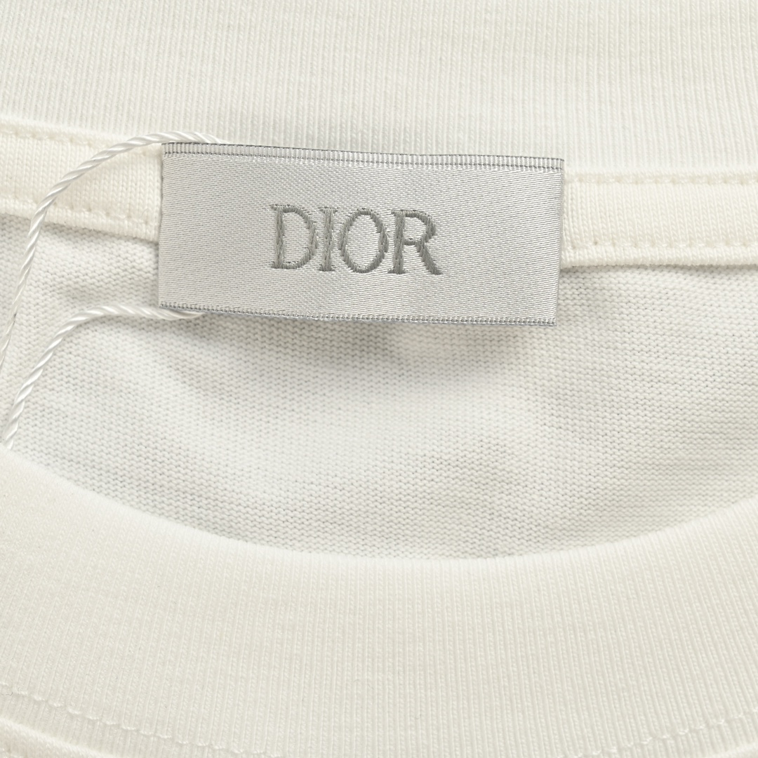 140 Dior/ 迪奥 24ss 胸口彩色logo刺绣情侣款短袖 24夏季限定新款配色