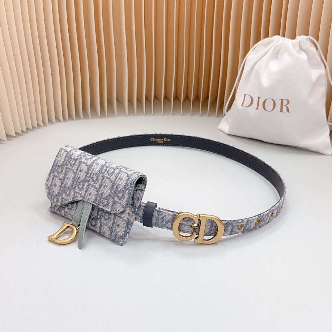 Dior Borse da Cintura Hardware oro Pelle bovina