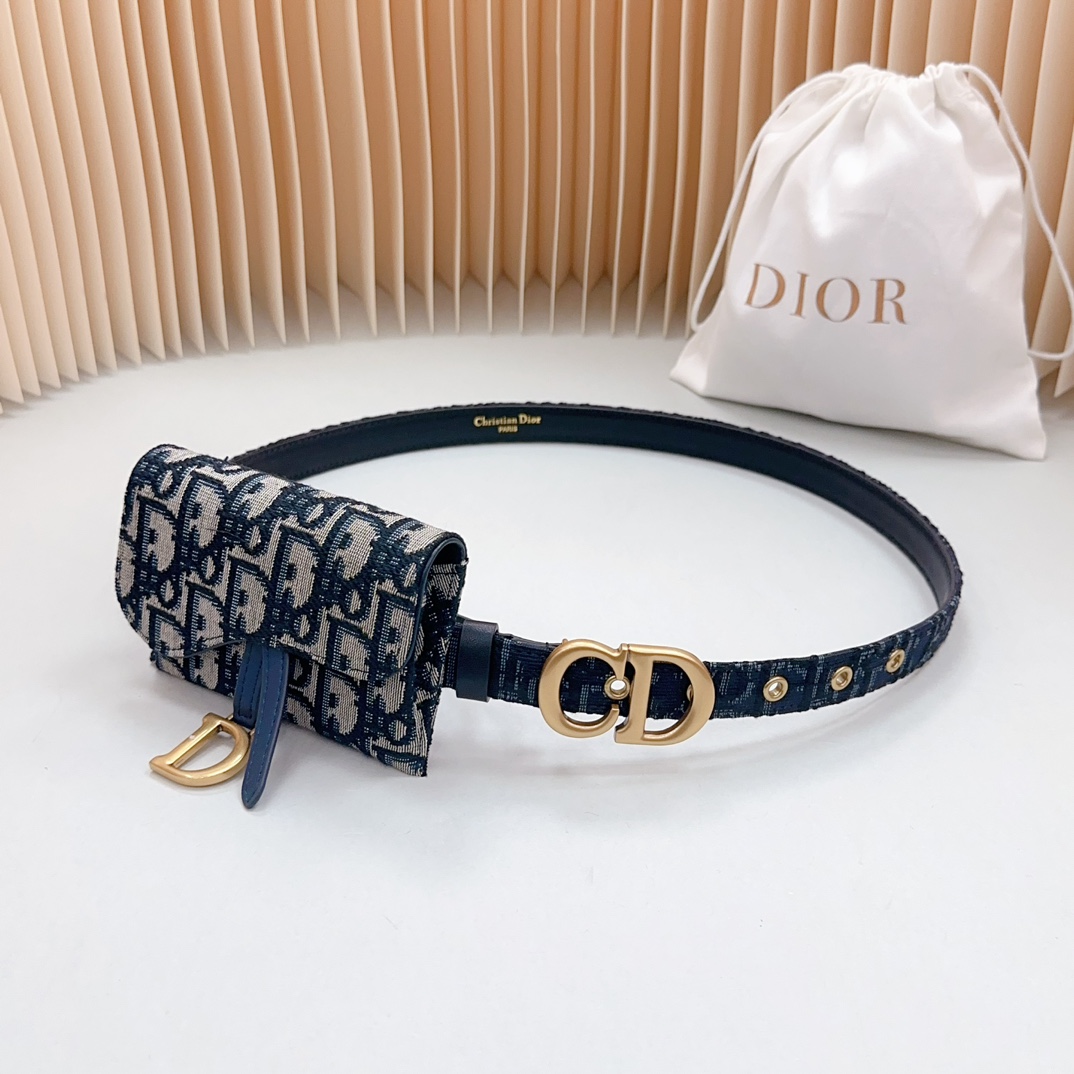 Dior Borse da Cintura Hardware oro Pelle bovina