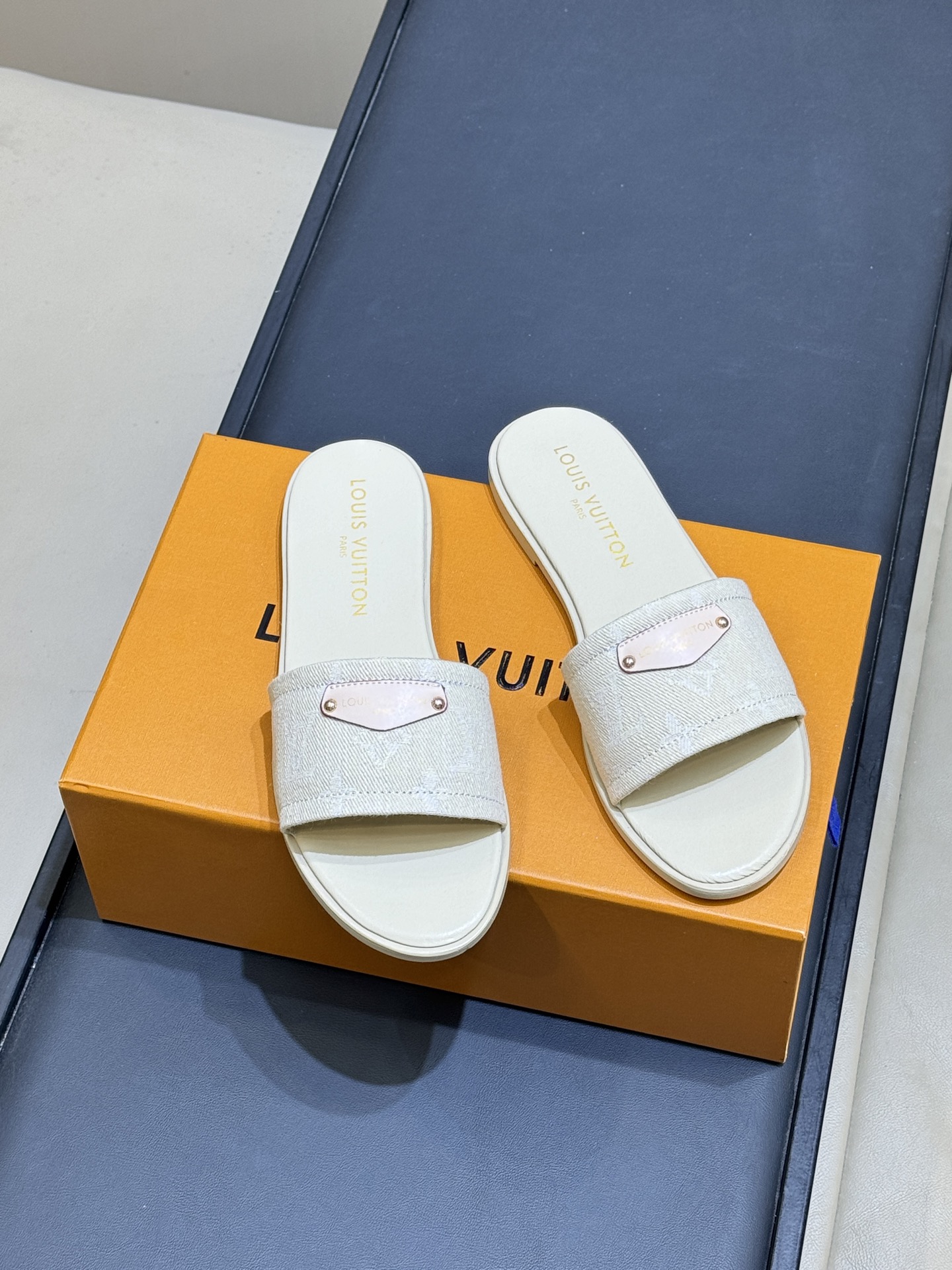 Шлёпанцы Louis Vuitton Isola