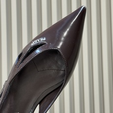 prada 26ss new arrival~高跟单鞋 Prada尖头高跟鞋,选用优质小牛皮,鞋面光泽细腻,质感满分。尖 prada 26ss new arrival~高跟单鞋 Prada尖头高跟鞋,选用优质小牛皮,鞋面光泽细腻,质感满分。尖