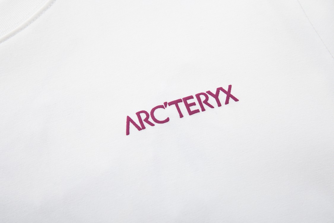 Arcteryx Cormac Series Logo LS Round Neck Long Sleeve T-Shirt 4 a1726761516680 6310
