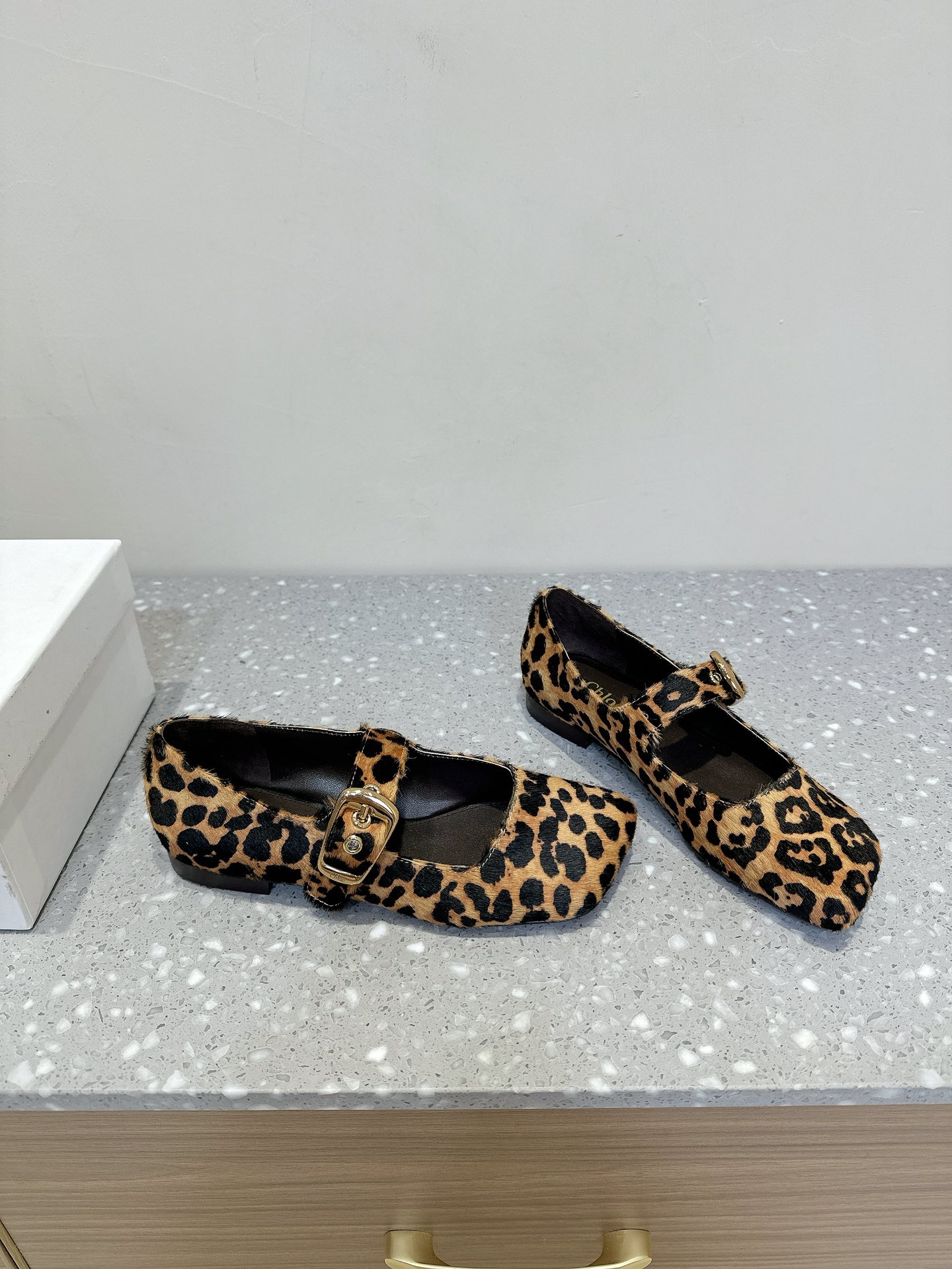 Trendy Chloe Ballet Shoes: Shallow, Flat, and Stylish with Unique Materials - 图片 4