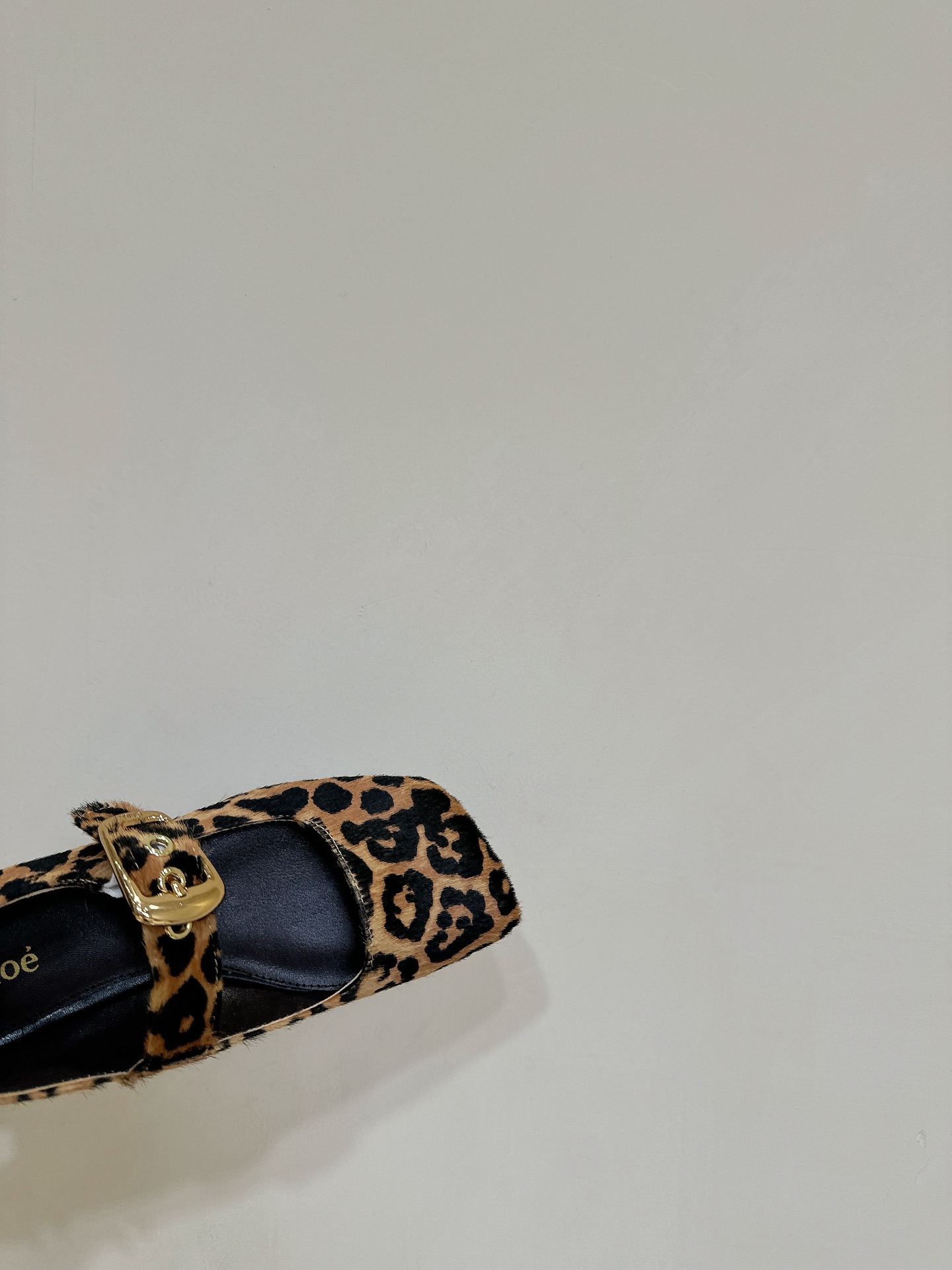 Trendy Chloe Ballet Shoes: Shallow, Flat, and Stylish with Unique Materials - 图片 8