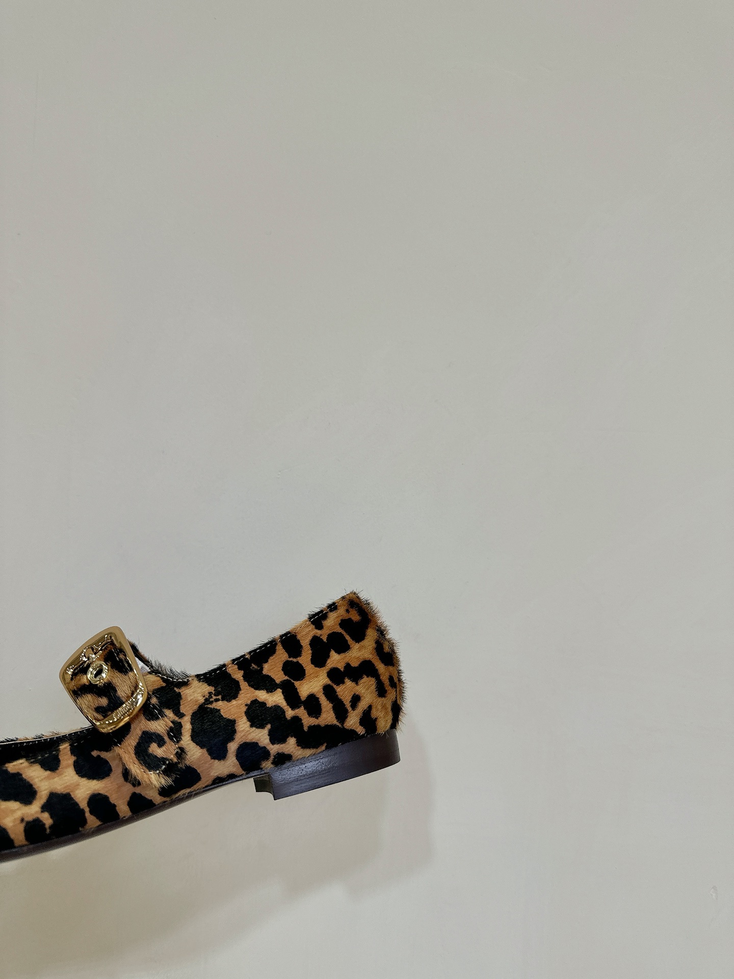 Trendy Chloe Ballet Shoes: Shallow, Flat, and Stylish with Unique Materials - 图片 7