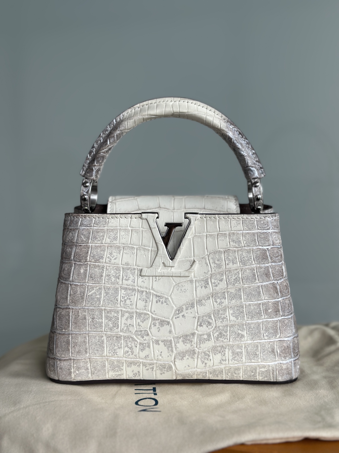 NO:939378,LV caucines 21 matte Nile crocodile gilt silver Sahara,Hermes,hermes,louis vuitton,Hermes,19860909LV caucines 21 雾面尼罗鳄 鎏银撒哈拉,爱马仕,hermes,louis vuitton,Hermes,,Bag