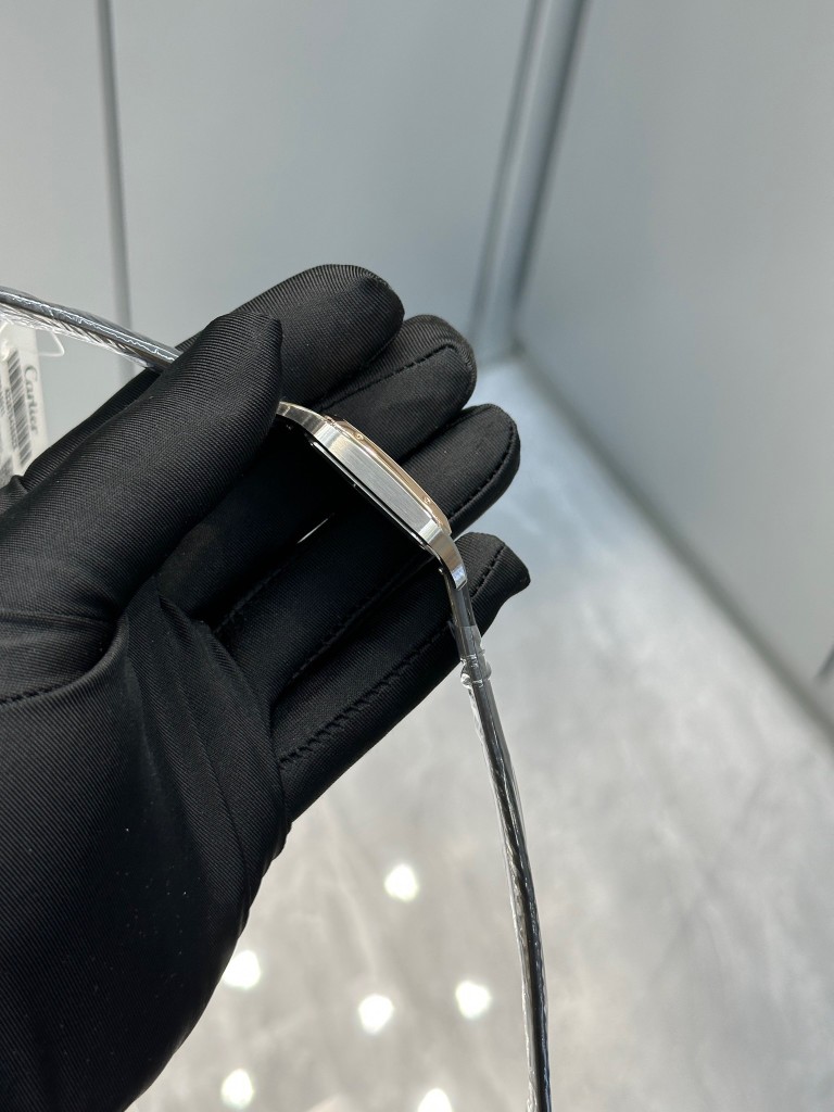 Cartier 卡地亚 山度士石英中号 鳄鱼皮