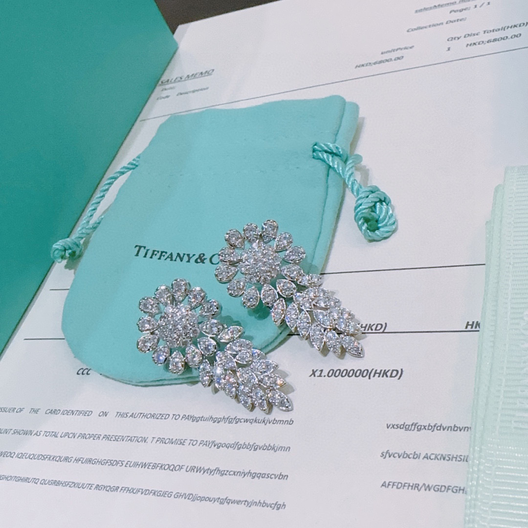  独家订制 ✨Tiff 蒂芙尼耳环纪念款  花絮 马眼 耳钉💘采用高碳钻 💎 顶级亚金材质镶嵌 铂金镶钻