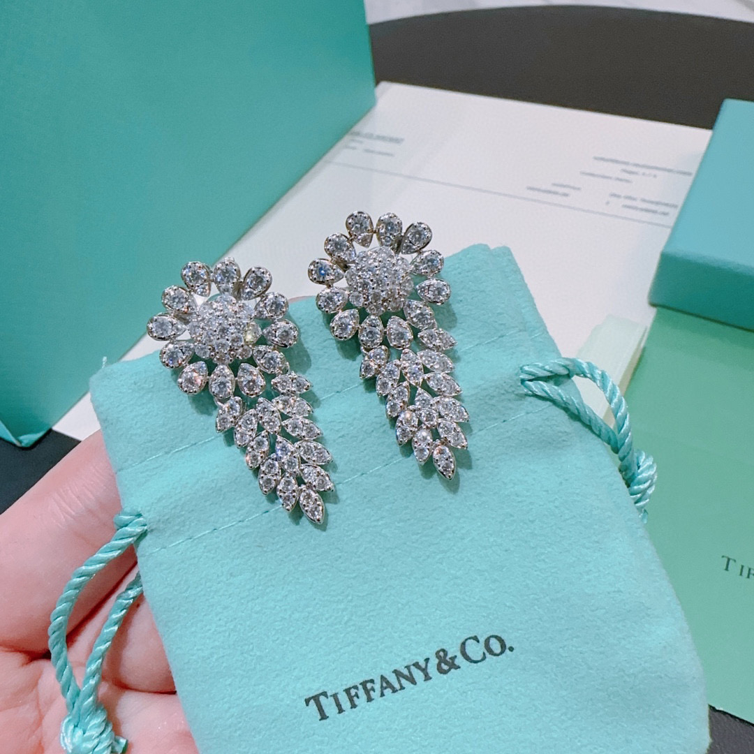  独家订制 ✨Tiff 蒂芙尼耳环纪念款  花絮 马眼 耳钉💘采用高碳钻 💎 顶级亚金材质镶嵌 铂金镶钻