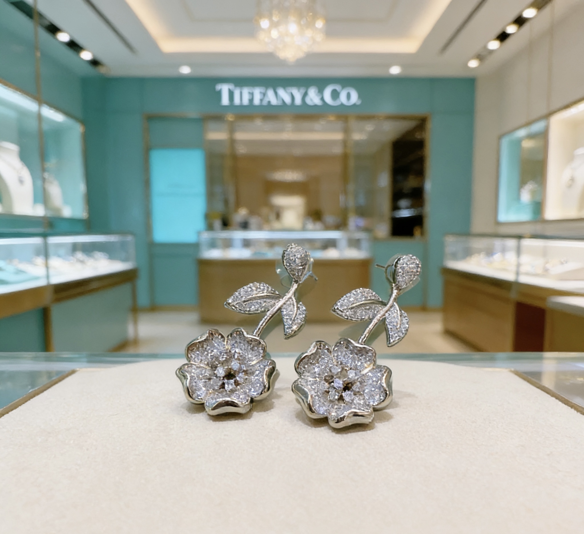 Tiffany & Co. 独家订制 Tiff 蒂芙尼耳环纪念款