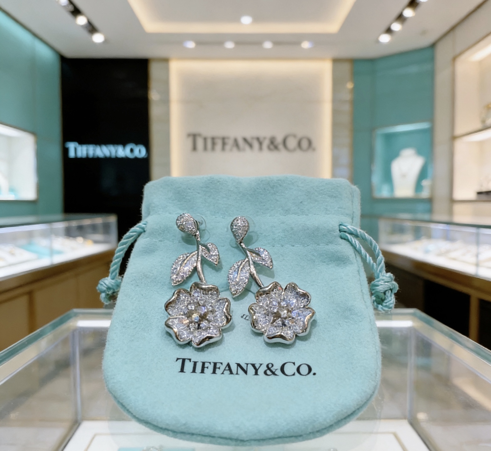 Tiffany & Co. 独家订制 Tiff 蒂芙尼耳环纪念款