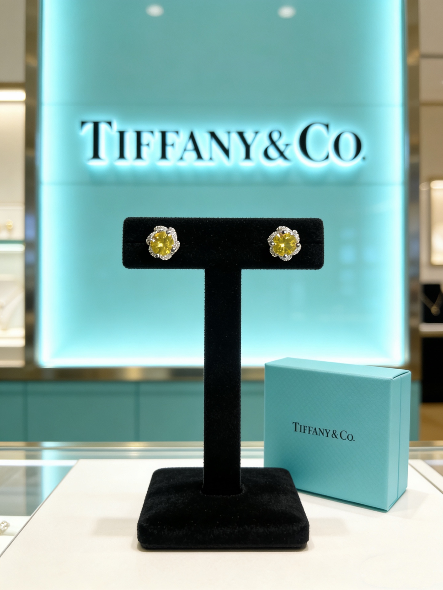 Tiffany & Co. 蒂芙尼耳环 TIFFNY&CO