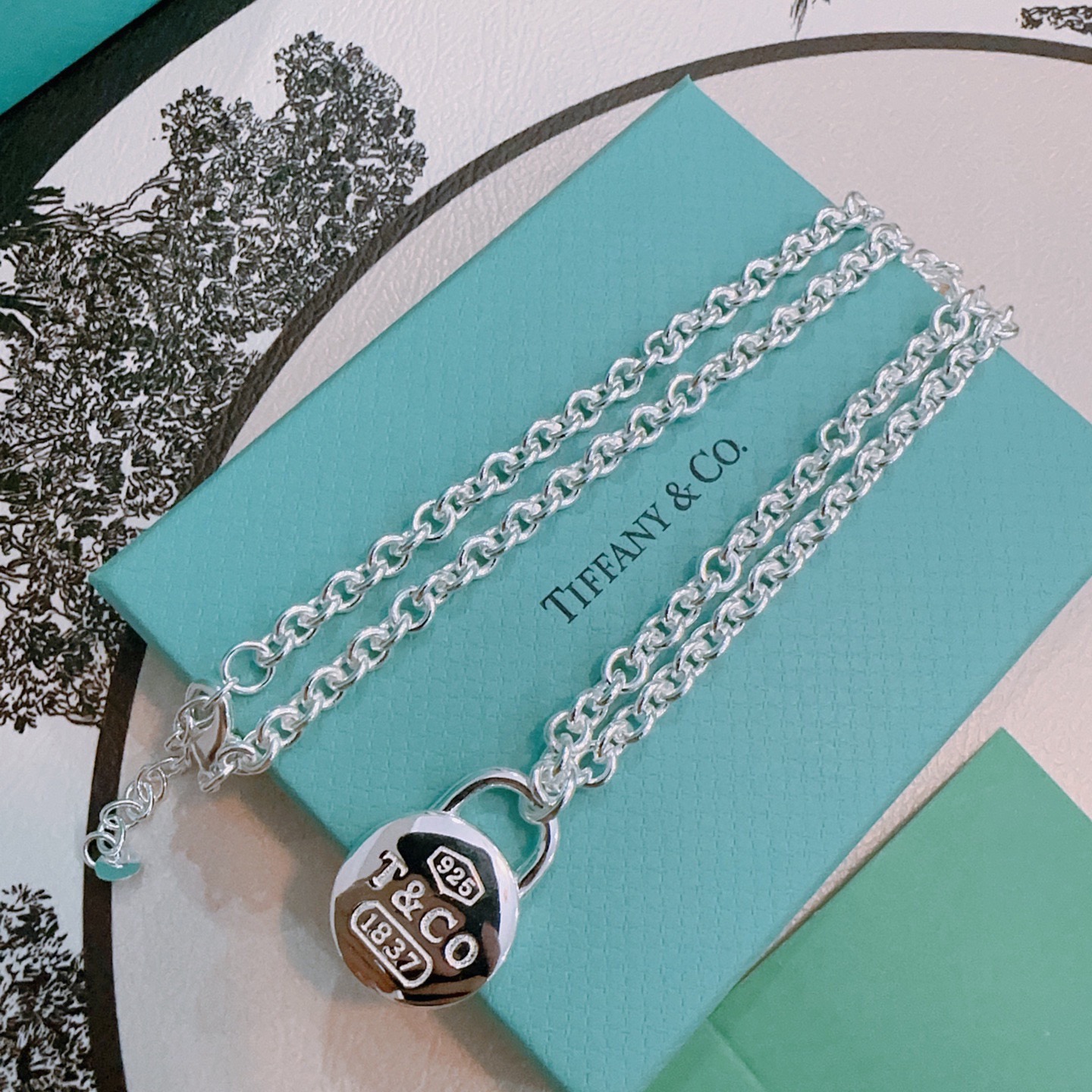 Tiffany & Co. 蒂芙尼项链 TIFFNY&CO