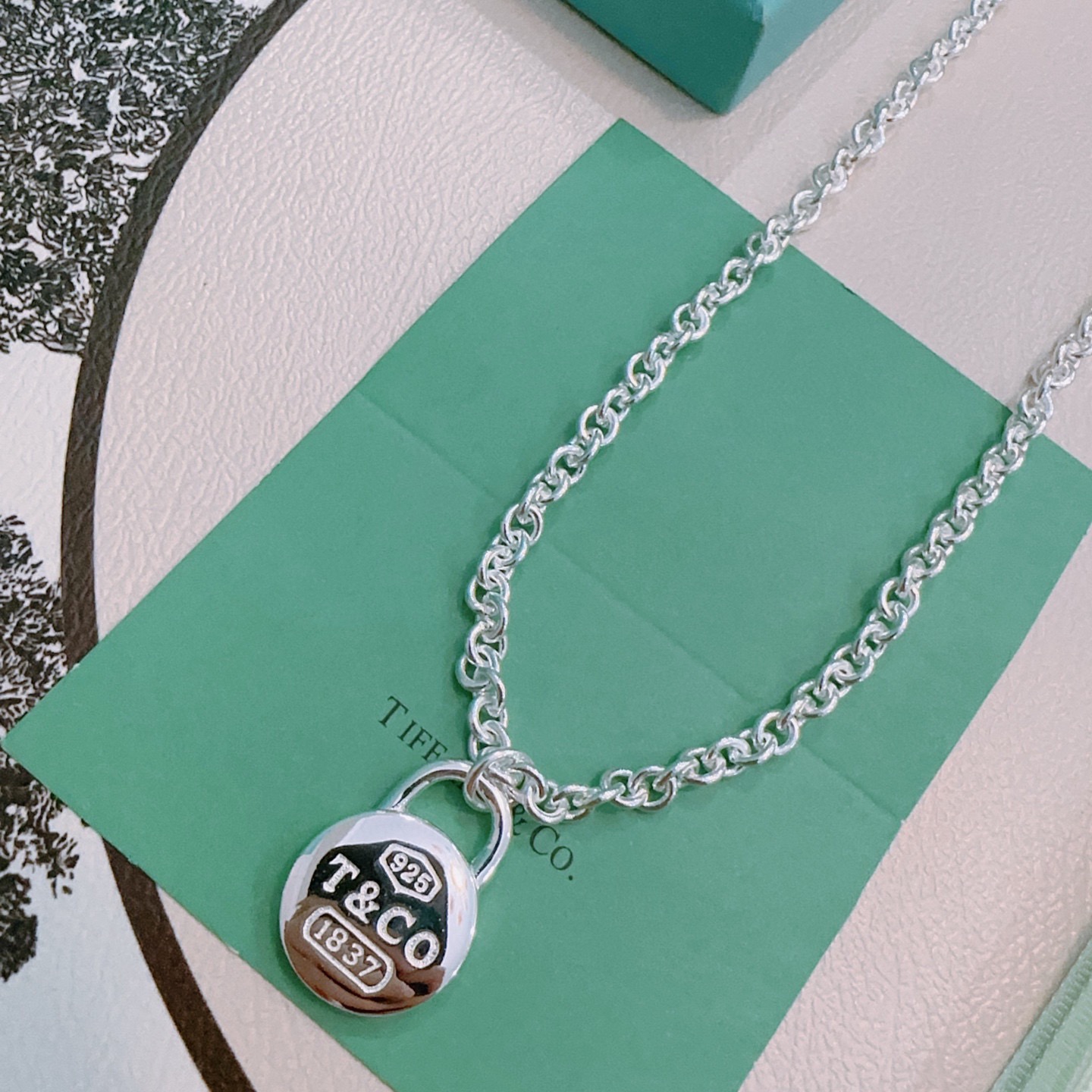 Tiffany & Co. 蒂芙尼项链 TIFFNY&CO