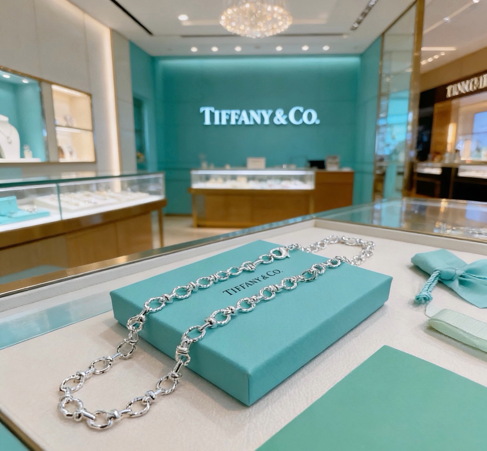 正品新款蒂芙尼项链🩵 TIFFNY&CO. 专柜精工银版本   明星同款 复古做旧风 原版复刻 纯手工打