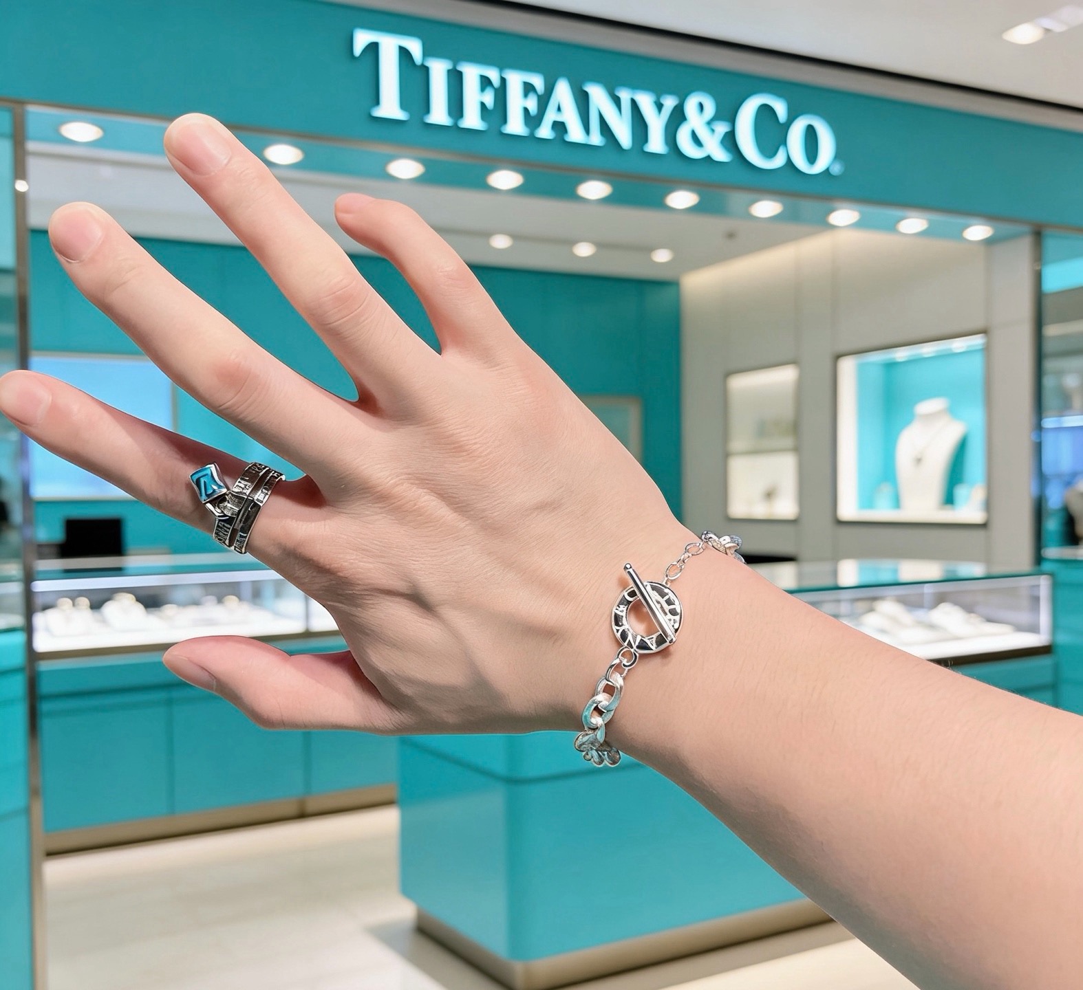 Tiffany & Co Haute Couture Haute Couture Fine Jewelry Necklace Bracelet 7