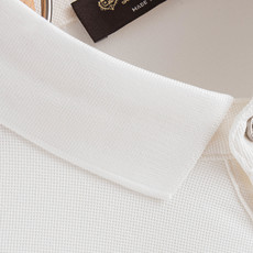 Loro Piana2026SS客供精梳棉+再生纤维素纤维网眼珠地丝光处理丝滑透气凉爽定织翻领男士商务休 Loro Piana2026SS客供精梳棉+再生纤维素纤维网眼珠地丝光处理丝滑透气凉爽定织翻领男士商务休