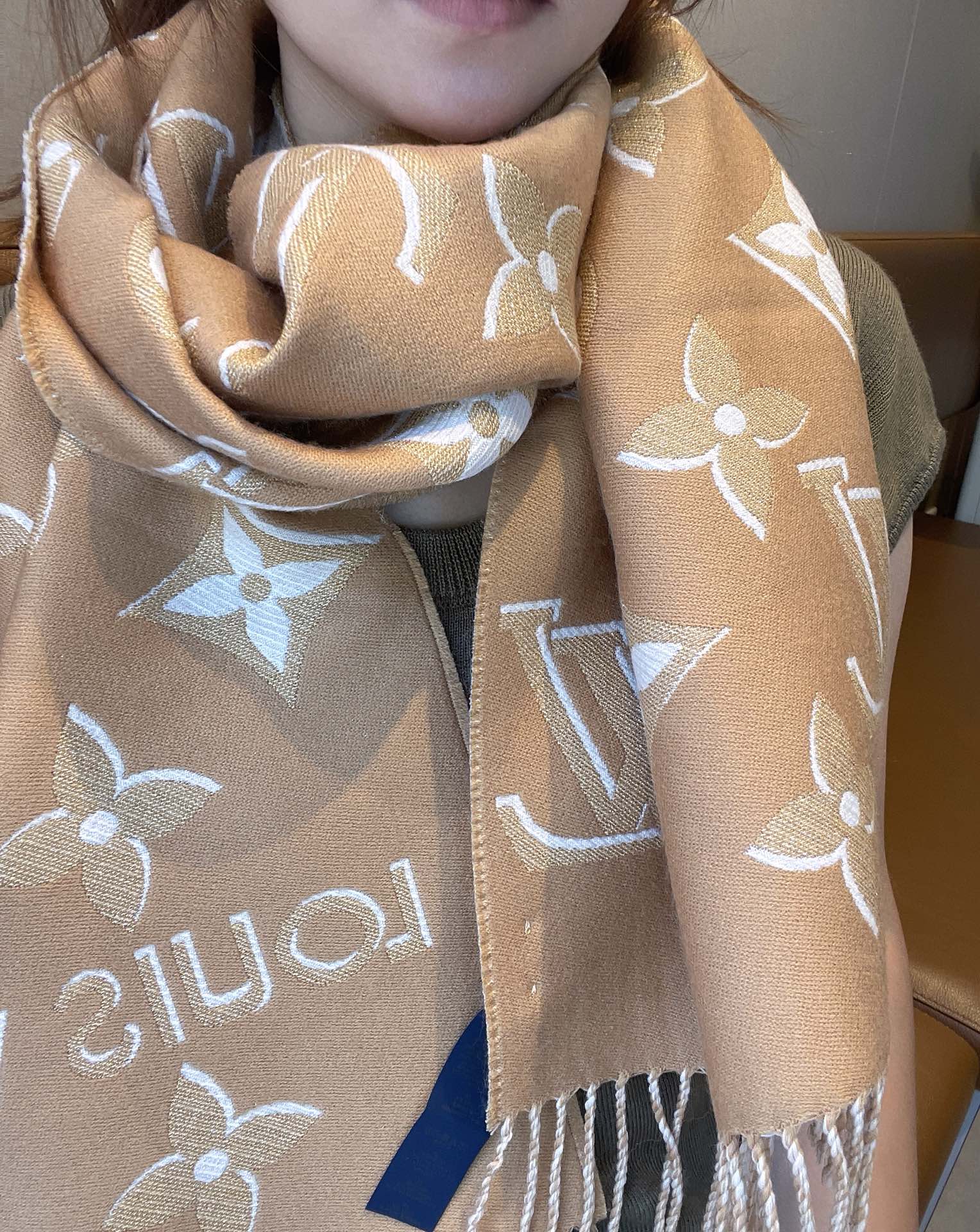 Louis Vuitton Scarf Wool