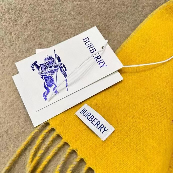 🆕𝐁𝐔𝐑𝐁𝐄𝐑𝐑𝐘 • 【双面素色刺绣长巾】官网同步上新❗️Size：168x30cm 100%绵羊毛慵