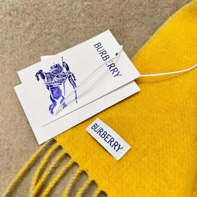 🆕𝐁𝐔𝐑𝐁𝐄𝐑𝐑𝐘 • 【双面素色刺绣长巾】官网同步上新❗️Size：168x30cm 100%绵羊毛慵