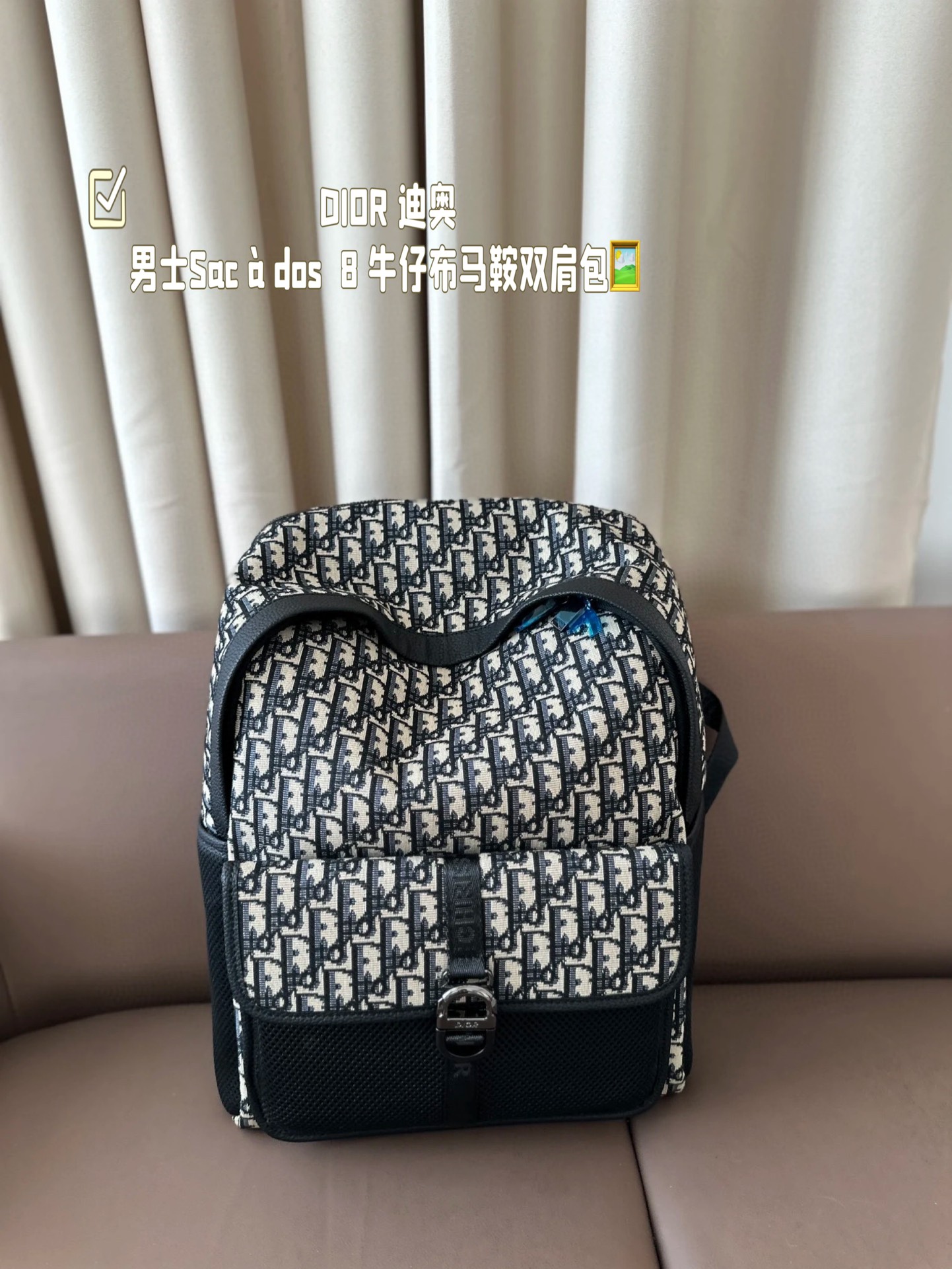 Dior Saddle