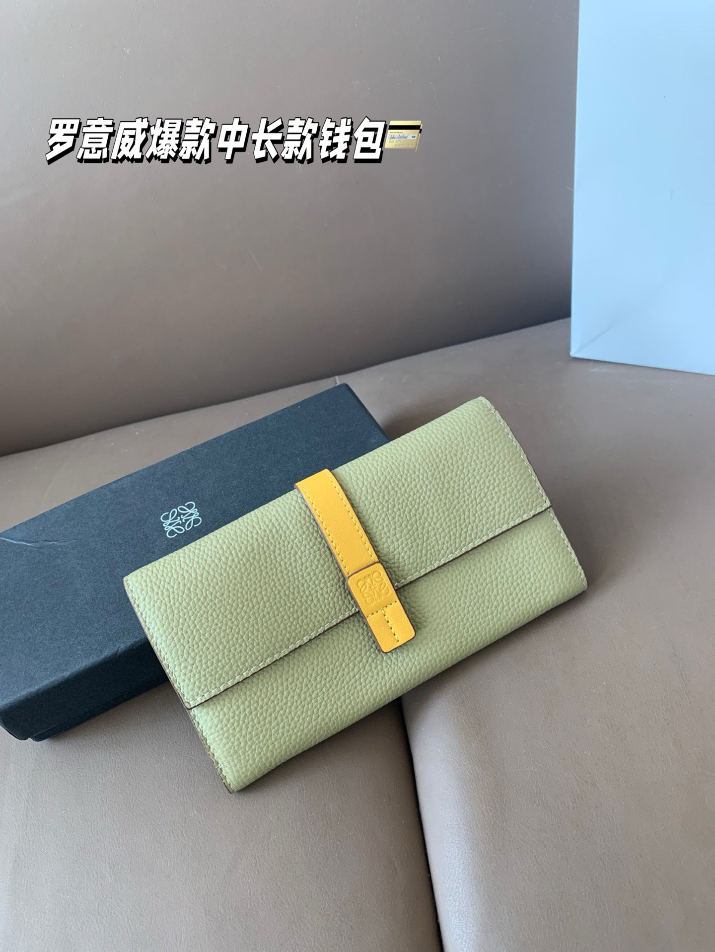 Loewe Portafoglio🔥 19*11