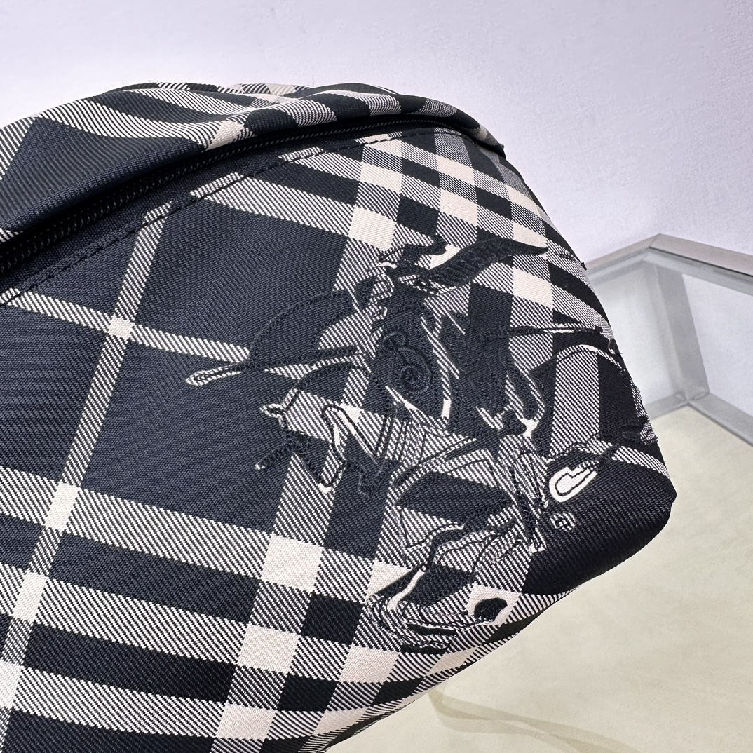 Burberry Exclusive Plaid Belt Bag with Equestrian Knight Design 5 a1722048938935 4015