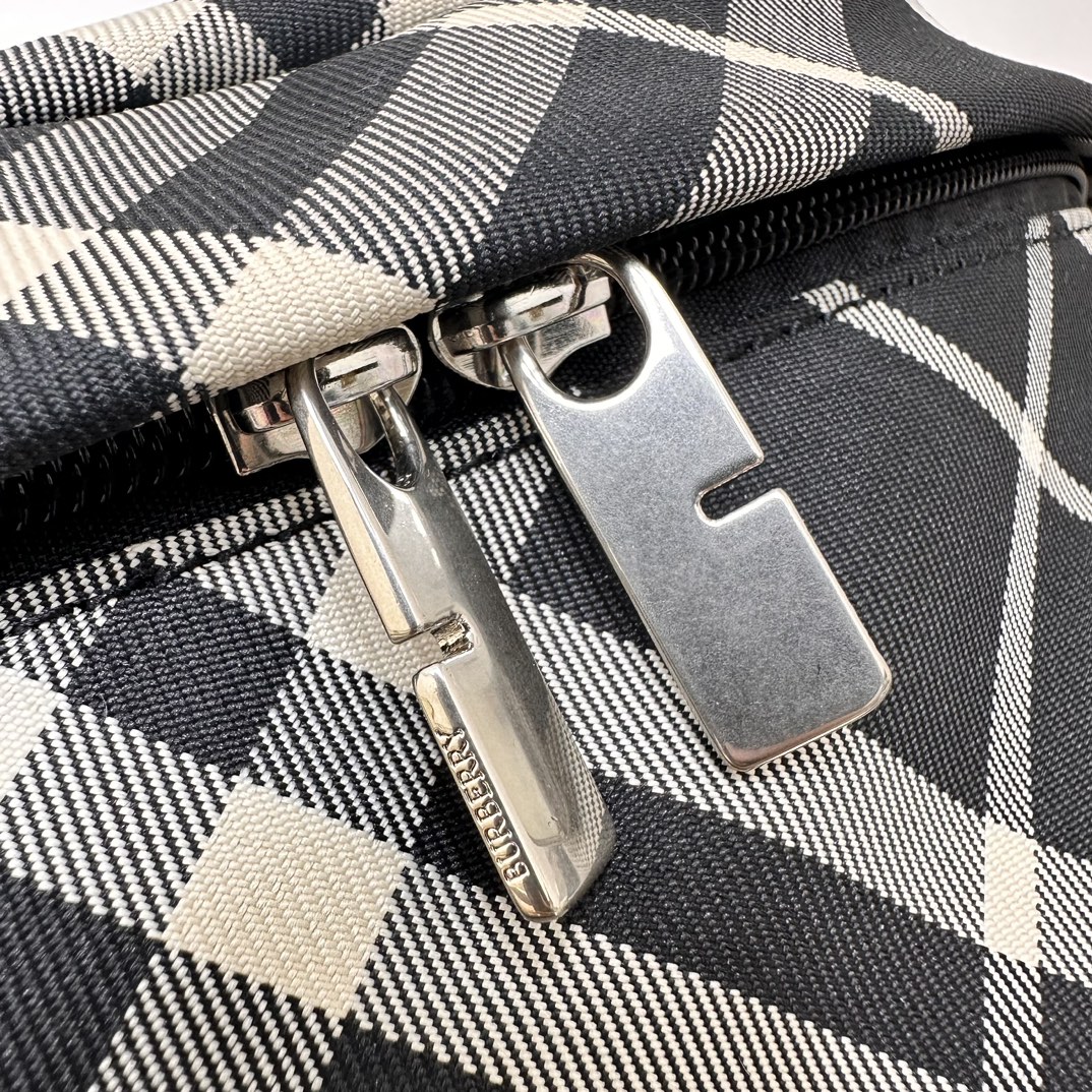 Burberry Exclusive Plaid Belt Bag with Equestrian Knight Design 6 a1722048946107 3170