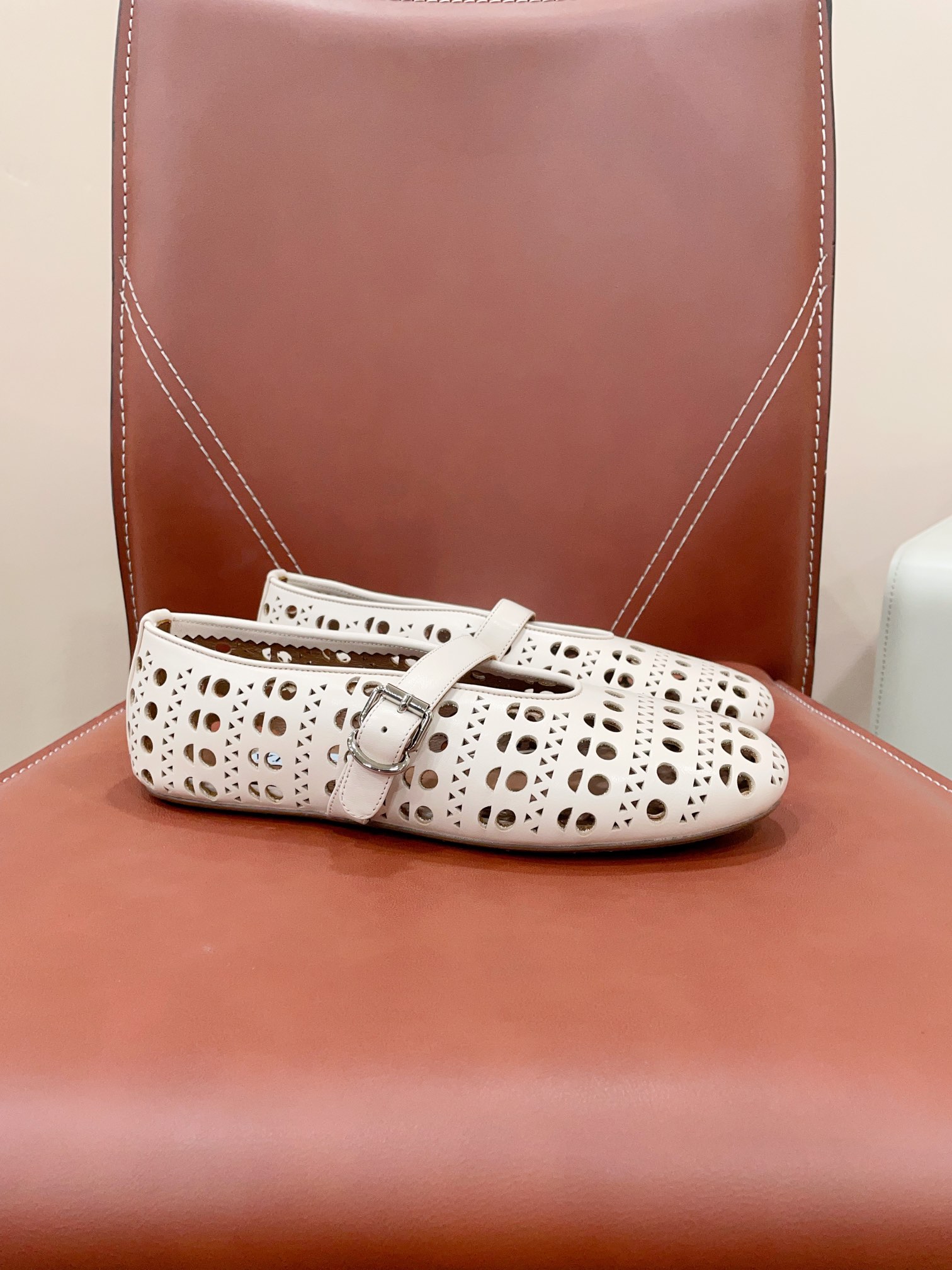 “AlAI Quail Certified 2024s New Ballet Shoes: Premium Quality at Competitive Prices”