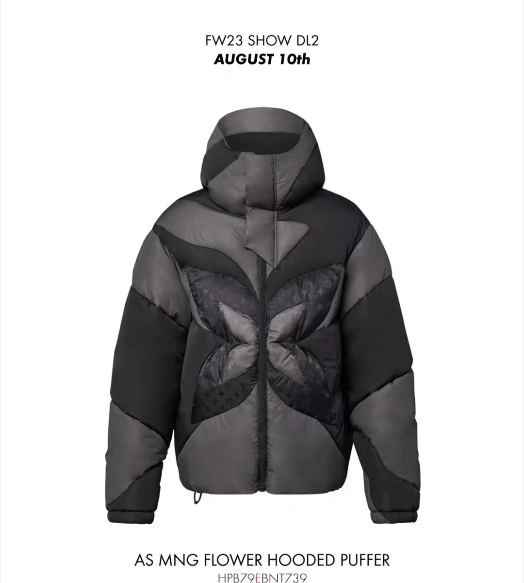 Louis Vuitton Clothing Down Jacket