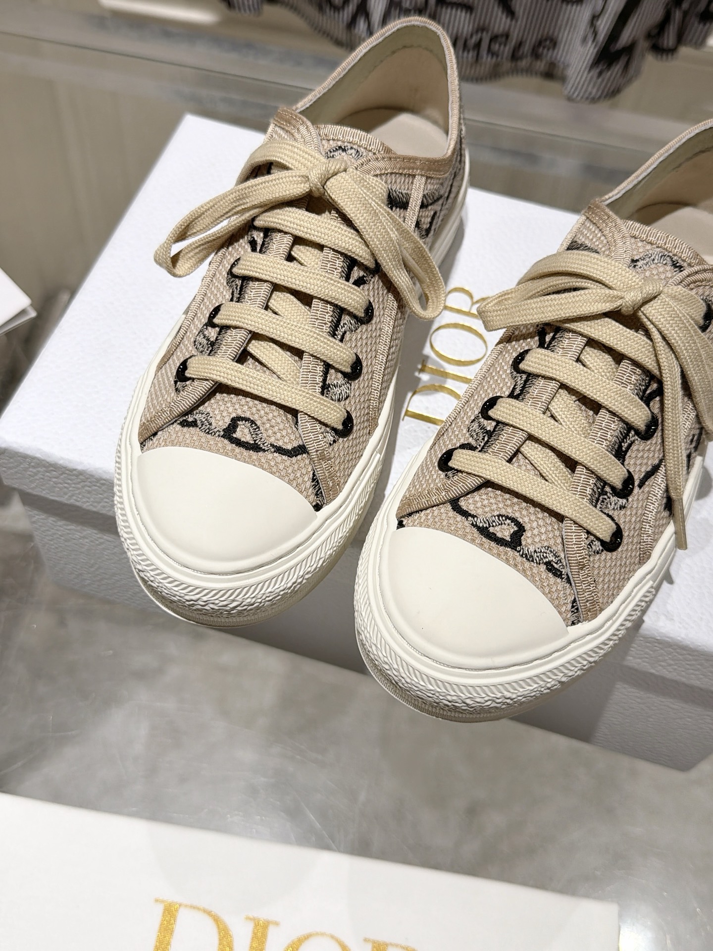 Dior Sneakers