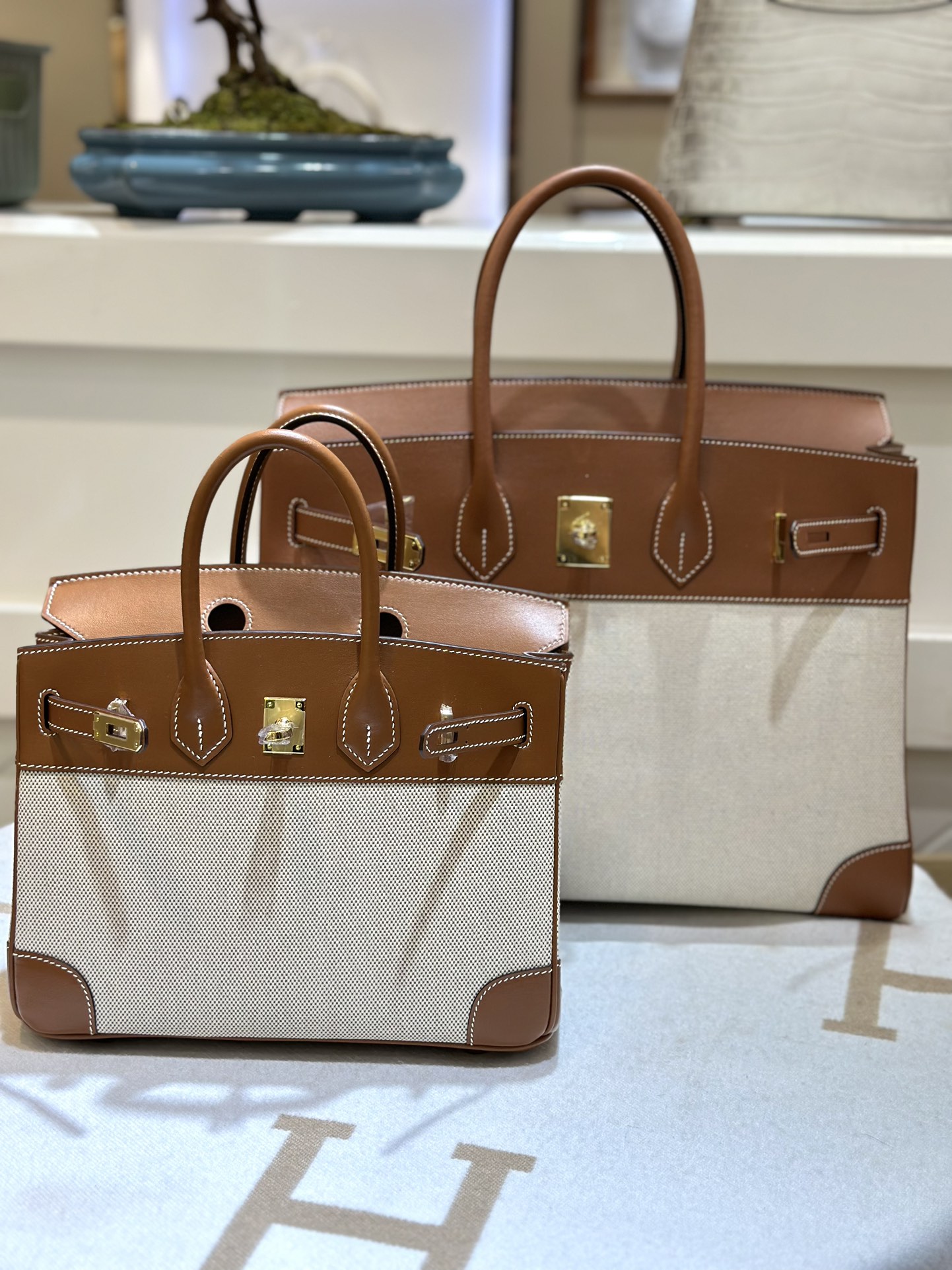 Hermes Birkin Bolsos de mano Marrón Color café Lona