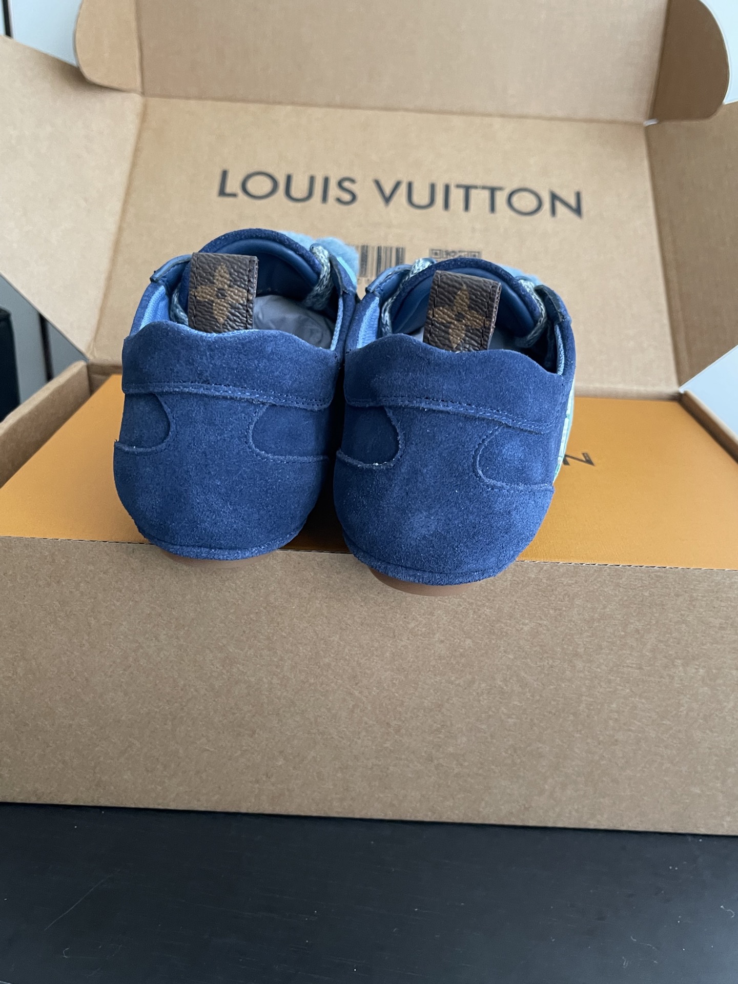 Louis Vuitton Sneakers