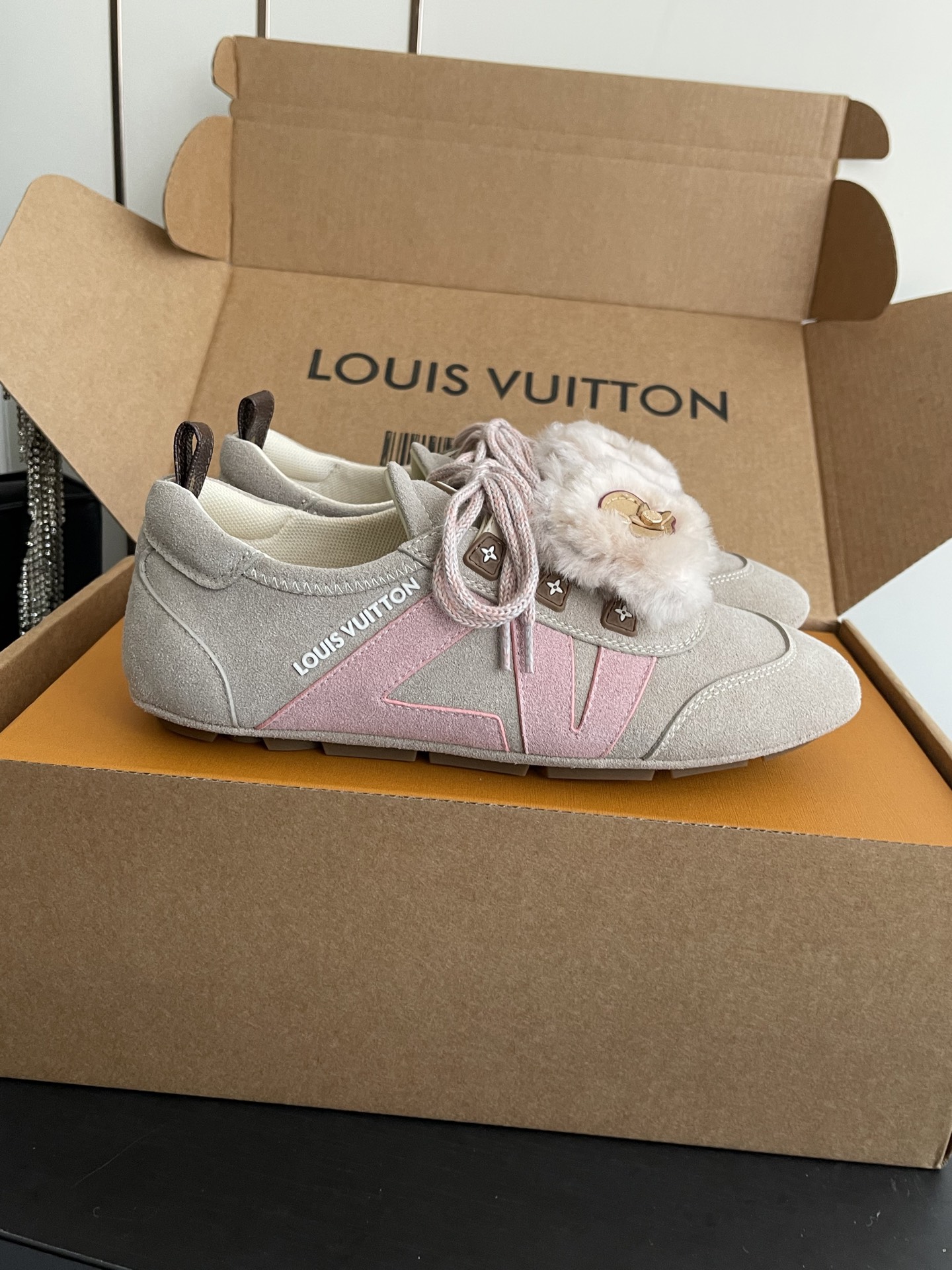 Louis Vuitton Sneakers