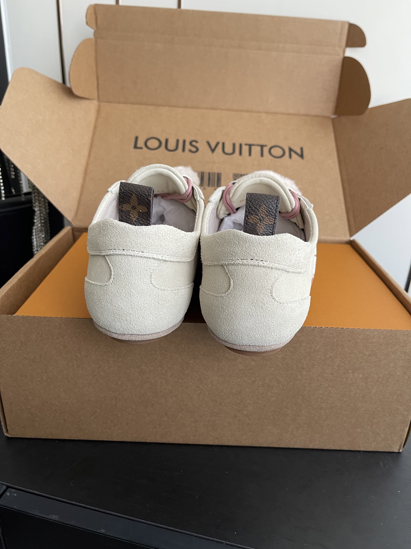 Louis Vuitton Sneakers