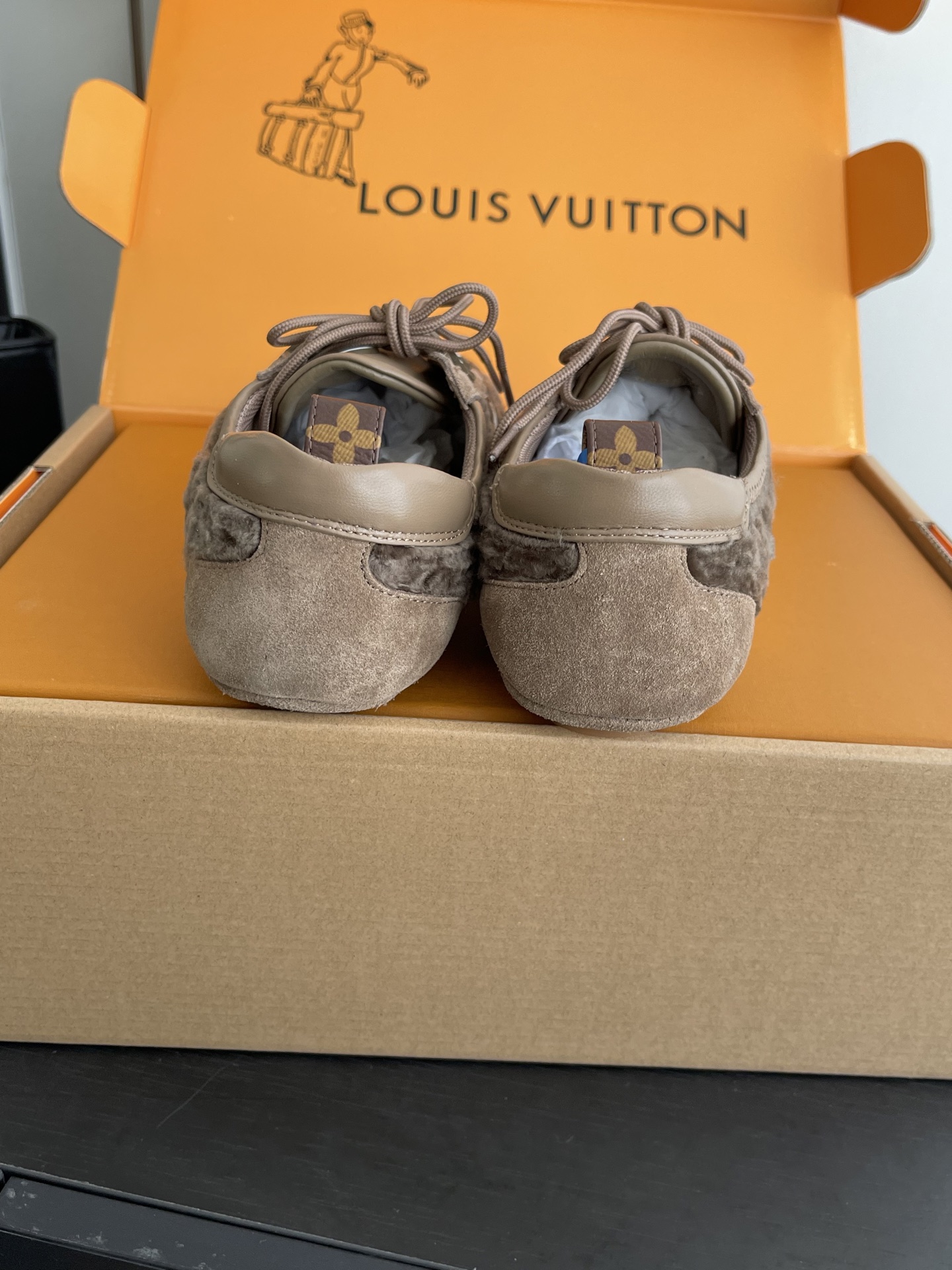 Louis Vuitton Sneakers