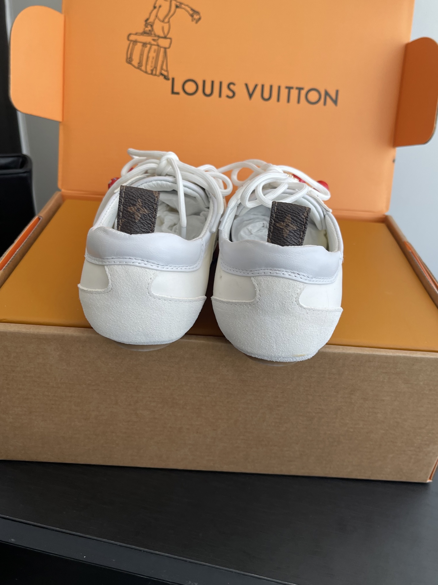 Louis Vuitton Sneakers