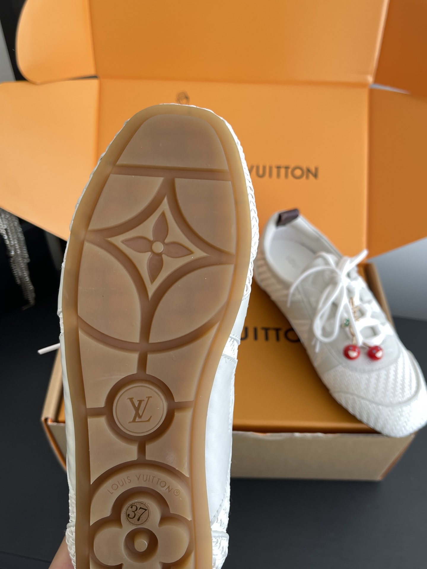 Louis Vuitton Sneakers