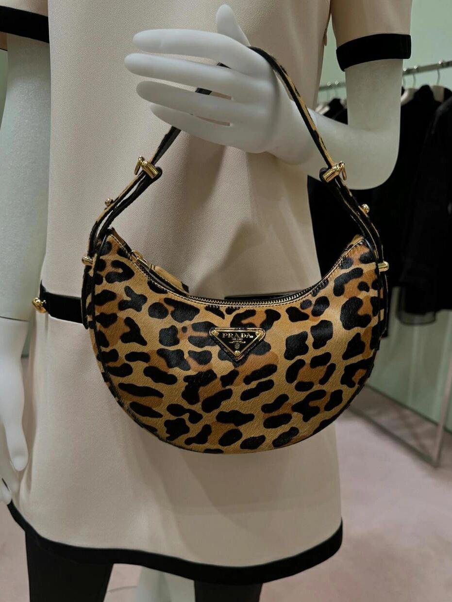 Prada Official pictures for sale