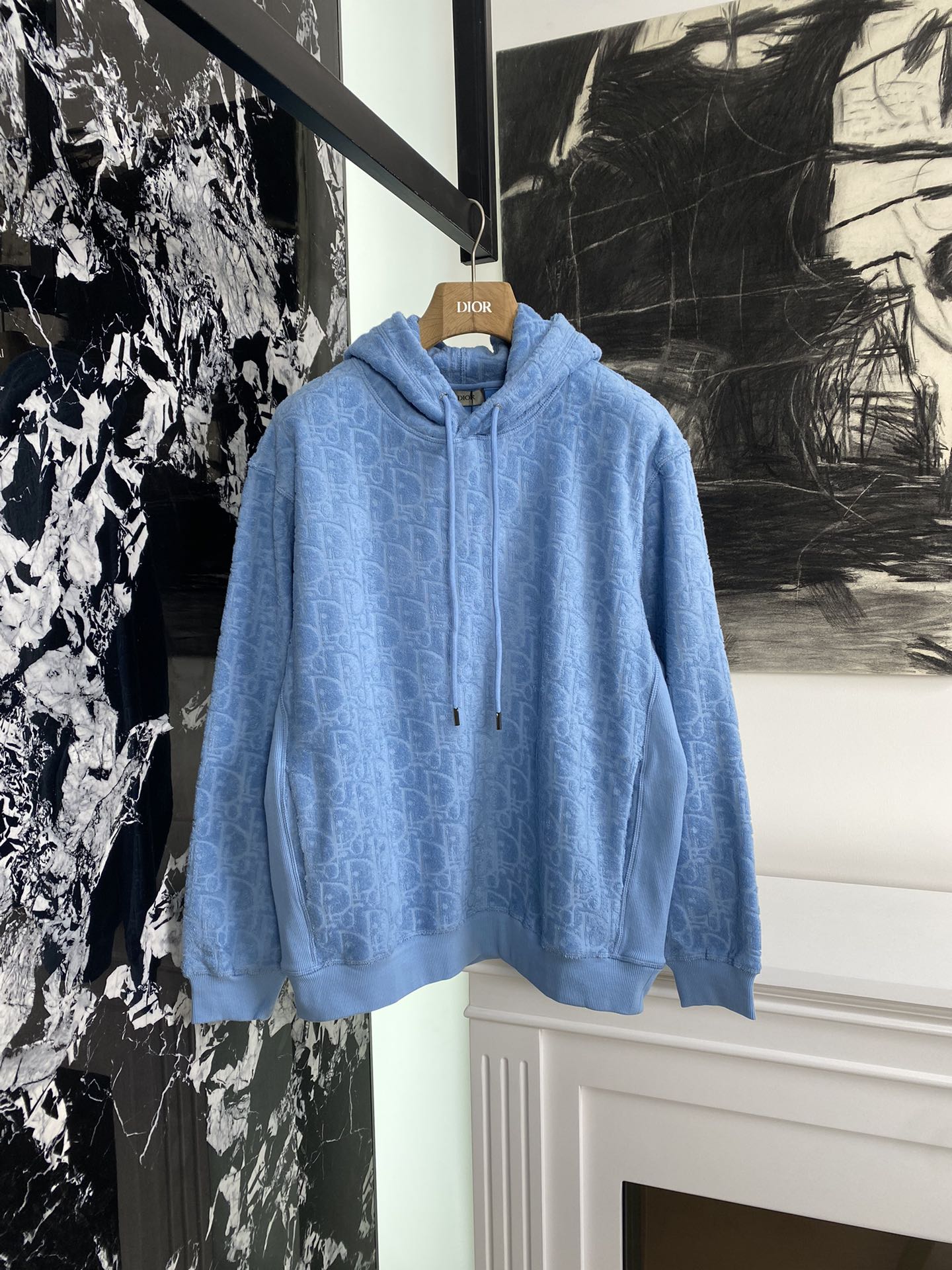 Dior Kleidung Kapuzenpullover Blau Grau Hellblau Himmelblau Weiß Drucken Baumwolle Oblique Oberteil mit Kapuze