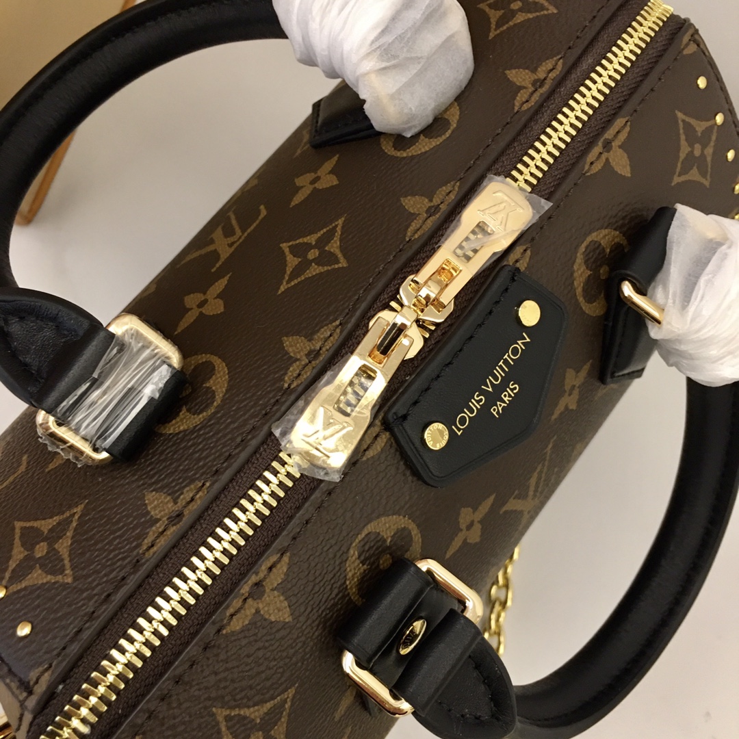 Louis Vuitton Speedy 20 Handbag - Monogram Canvas & Black Leather Trim 7 i1733993788 6315 3