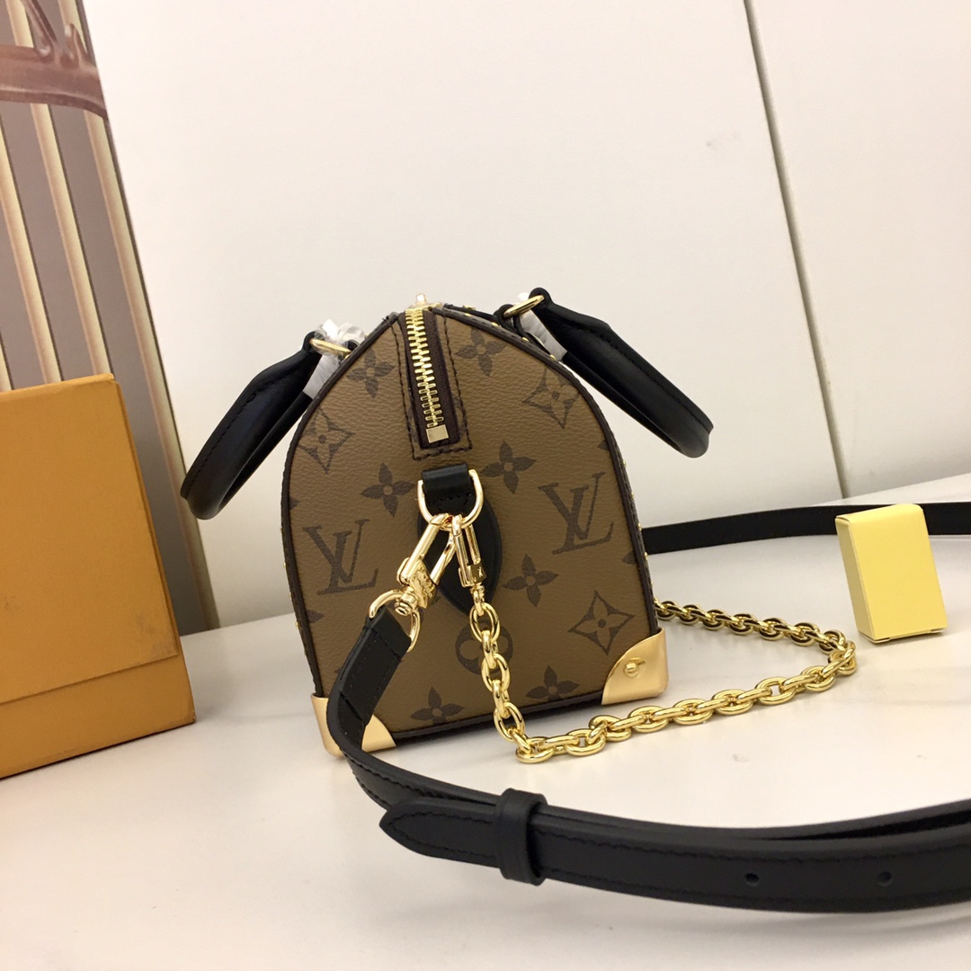 Louis Vuitton Speedy 20 Handbag - Monogram Canvas & Black Leather Trim 6 i1733993788 6503 0